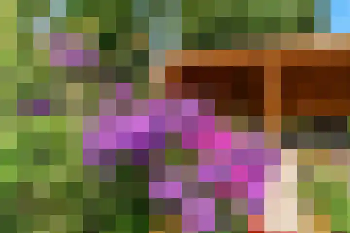 Lijsterlaan 3 IJmuiden thumbnail 22