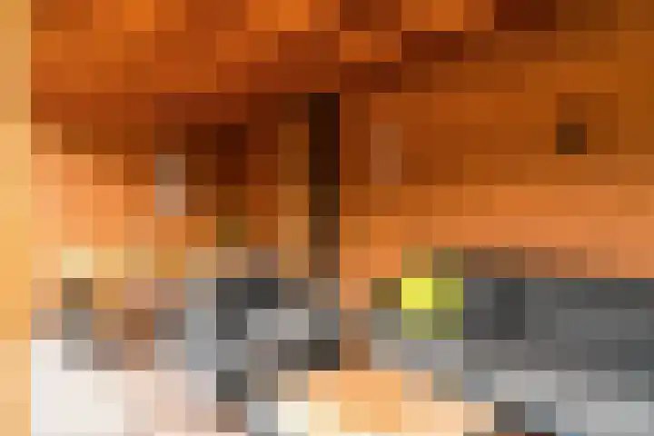 Lijsterlaan 3 IJmuiden thumbnail 23