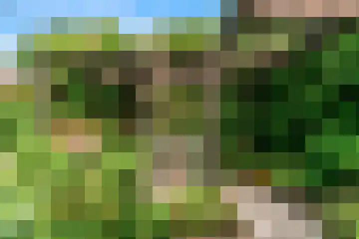 Lijsterlaan 3 IJmuiden thumbnail 24