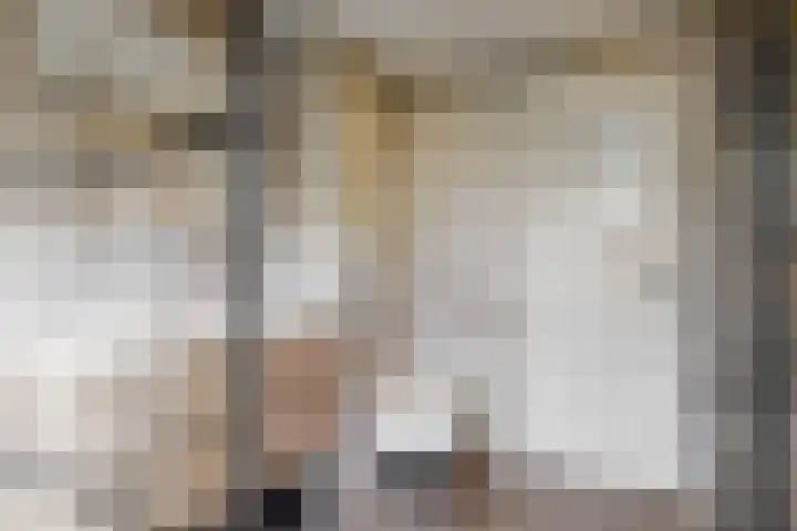 Lijsterlaan 3 IJmuiden thumbnail 27
