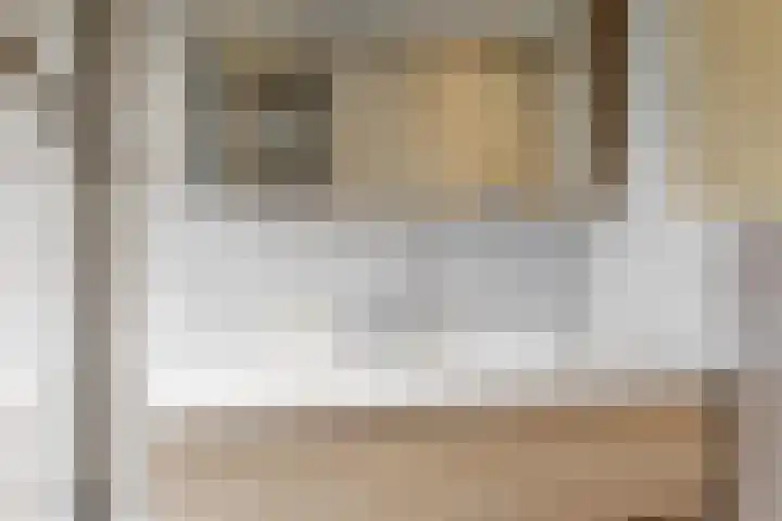 Lijsterlaan 3 IJmuiden thumbnail 28