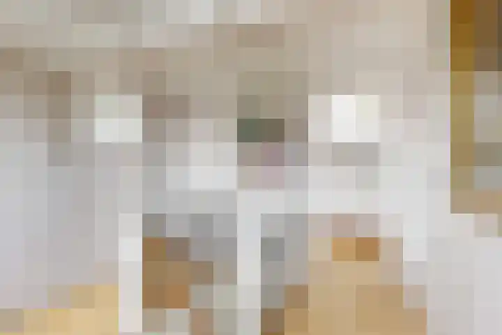 Lijsterlaan 3 IJmuiden thumbnail 36