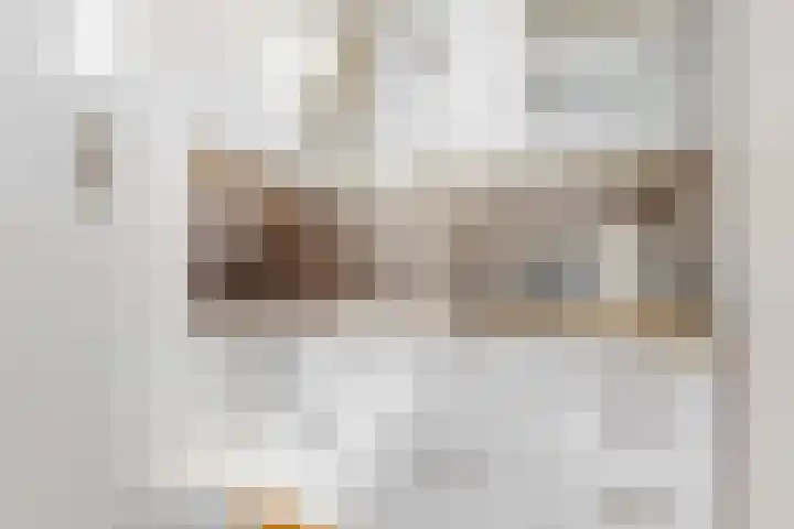 Lijsterlaan 3 IJmuiden thumbnail 38