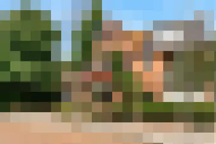 Lijsterlaan 3 IJmuiden thumbnail 44