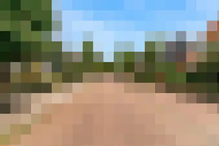 Lijsterlaan 3 IJmuiden thumbnail 45