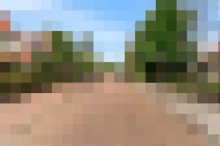 Lijsterlaan 3 IJmuiden thumbnail 46