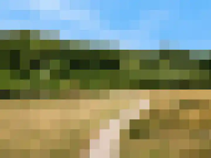 Lijsterlaan 3 IJmuiden thumbnail 47