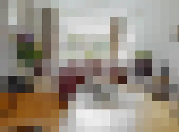 Lijsterlaan 3 IJmuiden thumbnail 8