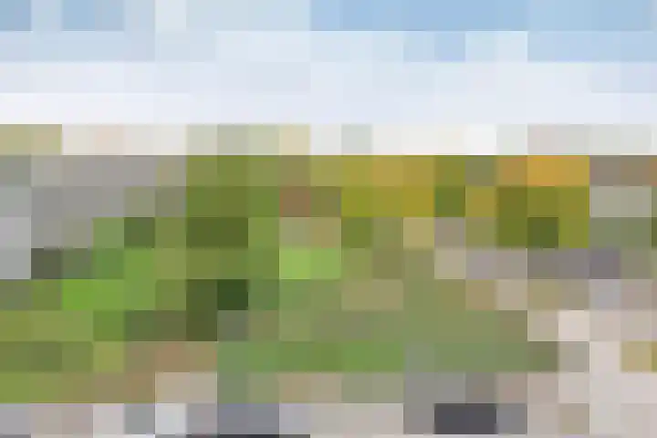 Lijsterlaan 307 Bussum thumbnail 10