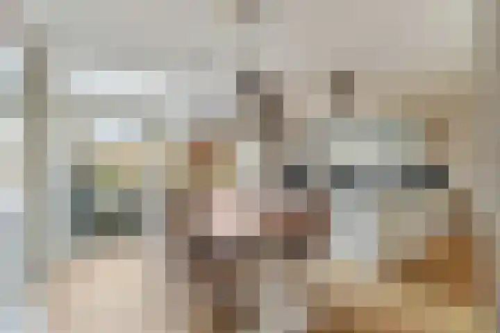 Lijsterlaan 31 Bleiswijk thumbnail 11