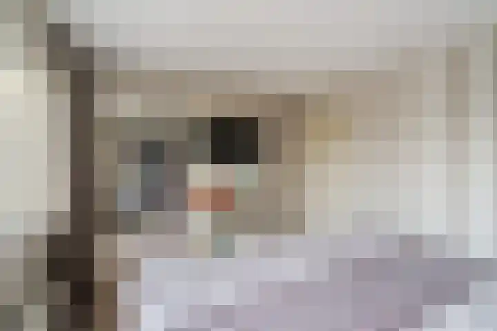 Lijsterlaan 31 Bleiswijk thumbnail 18