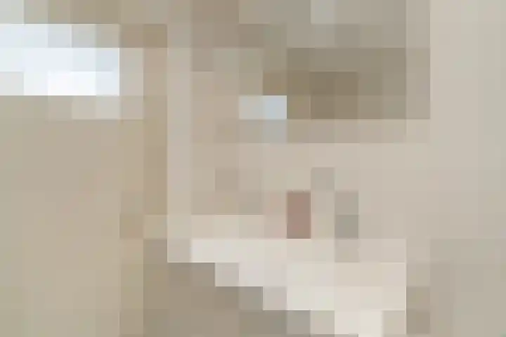 Lijsterlaan 31 Bleiswijk thumbnail 27