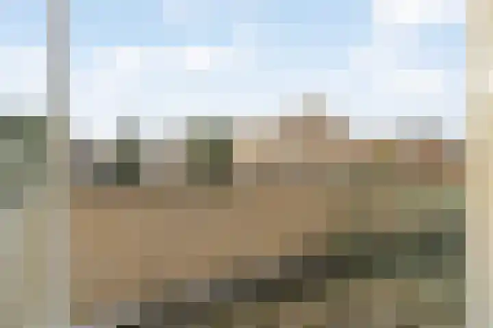 Lijsterlaan 31 Bleiswijk thumbnail 28