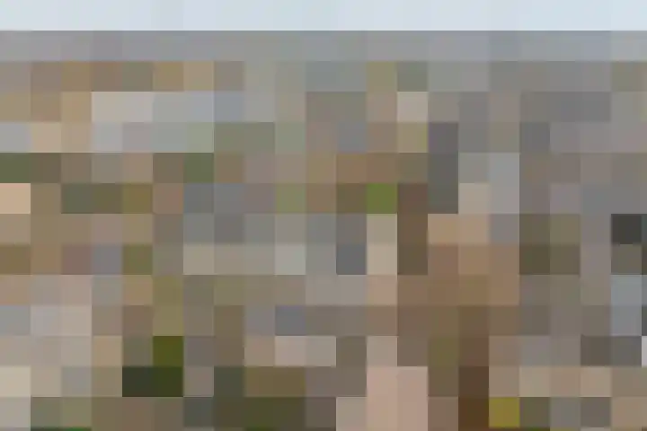 Lijsterlaan 31 Bleiswijk thumbnail 36