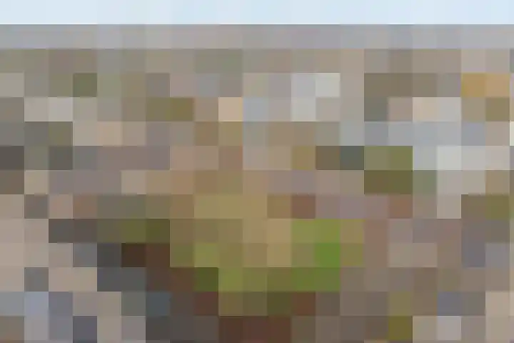 Lijsterlaan 31 Bleiswijk thumbnail 38