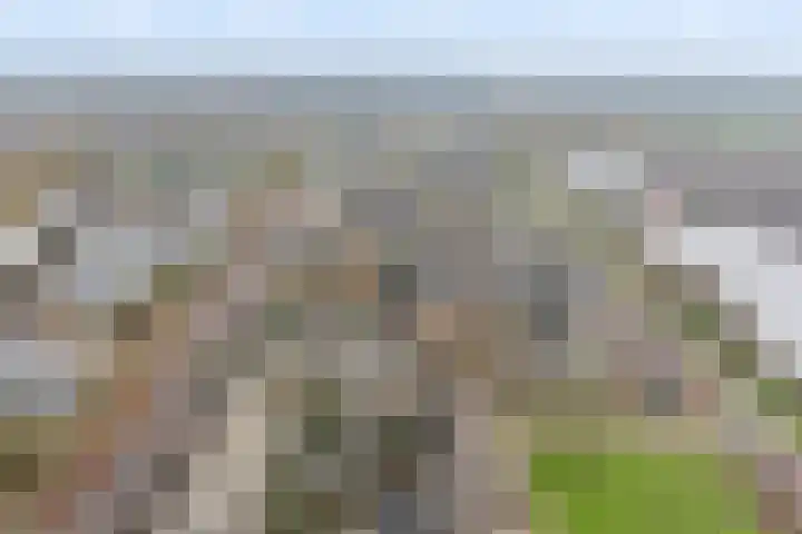 Lijsterlaan 31 Bleiswijk thumbnail 40