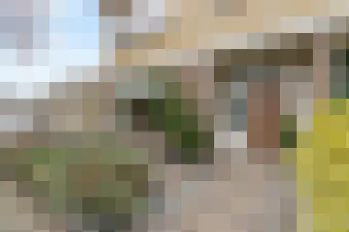 Lijsterlaan 31 Bleiswijk thumbnail 6