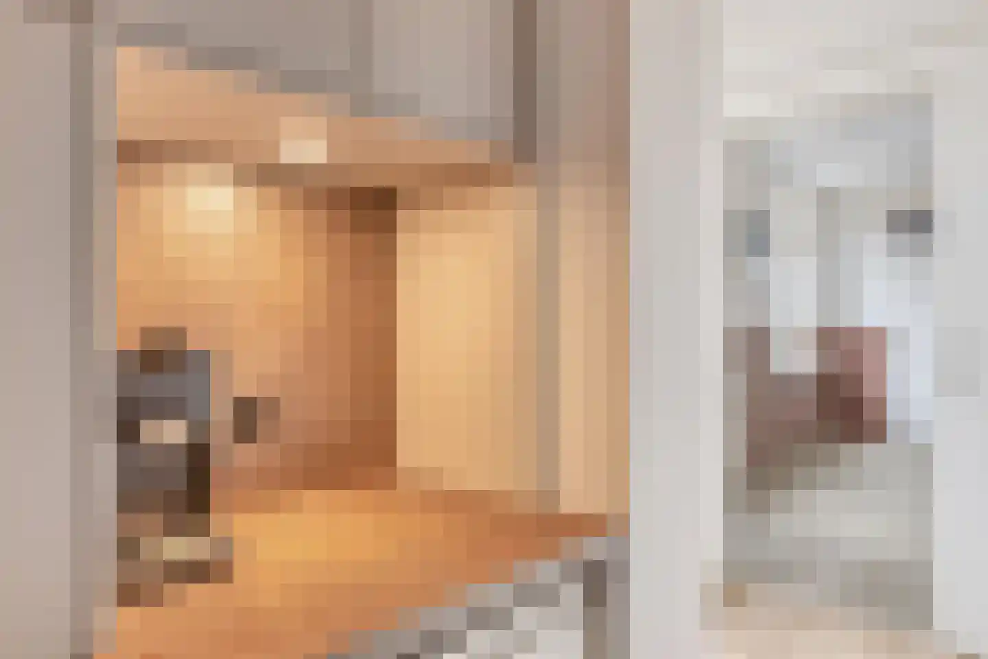 Lijsterlaan 33 Oss thumbnail 14