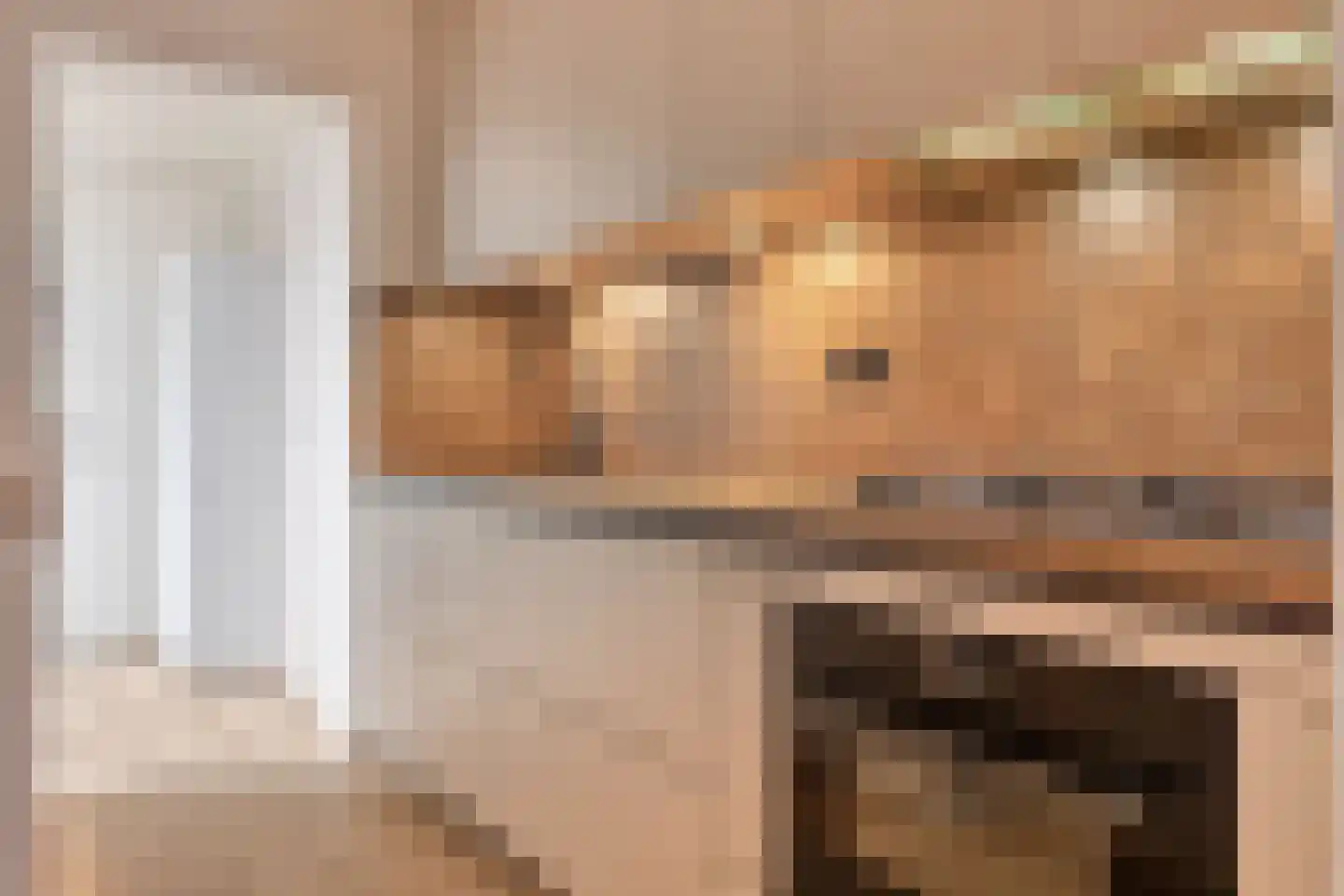 Lijsterlaan 33 Oss thumbnail 15