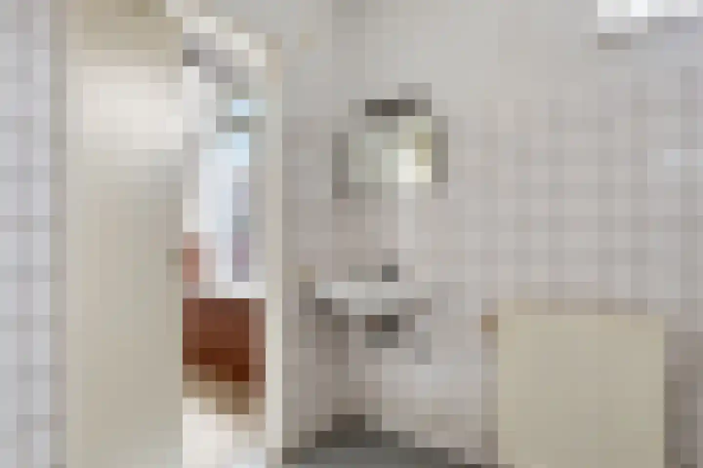 Lijsterlaan 33 Oss thumbnail 19