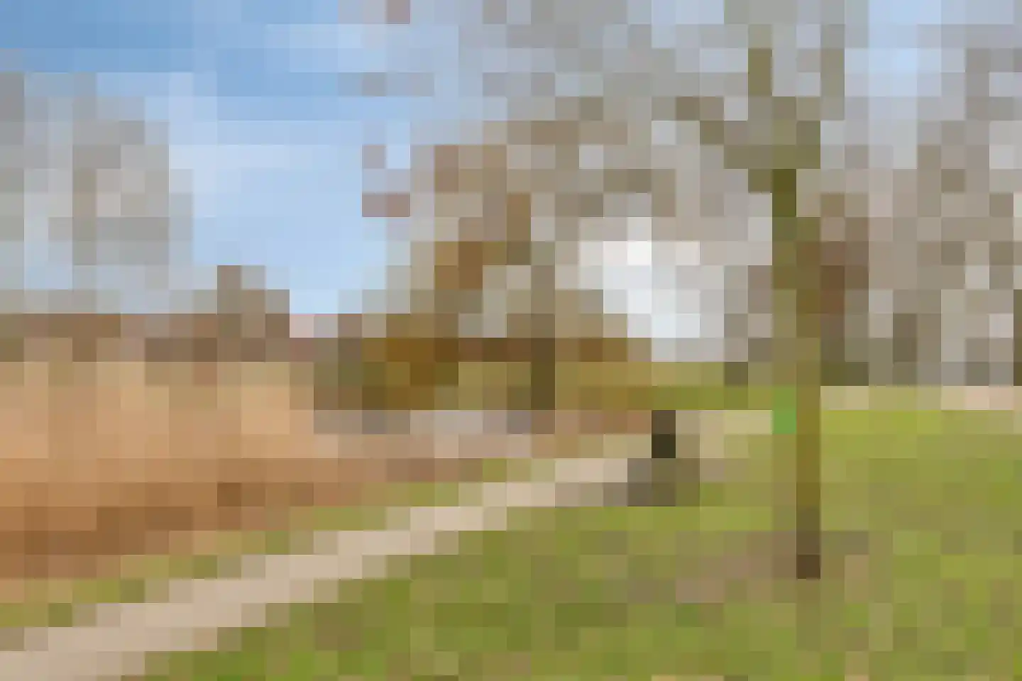 Lijsterlaan 33 Oss thumbnail 32