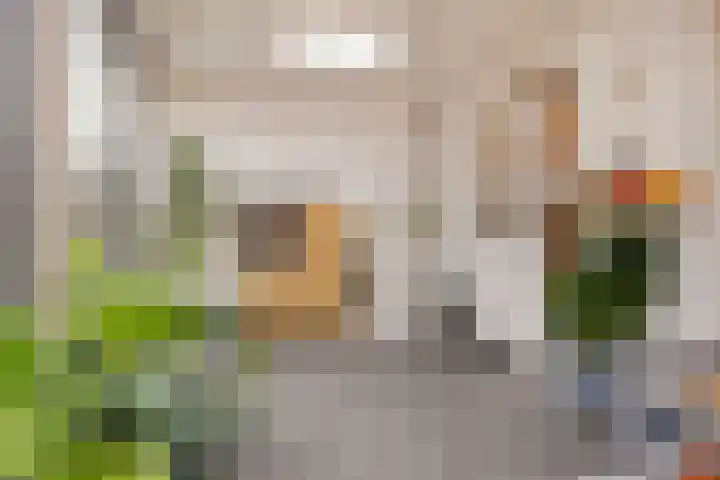 Lijsterlaan 34 Beek en Donk thumbnail 10