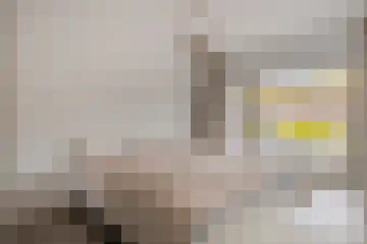 Lijsterlaan 34 Beek en Donk thumbnail 14