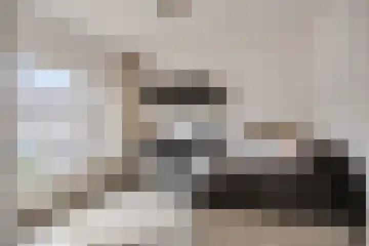 Lijsterlaan 34 Beek en Donk thumbnail 17