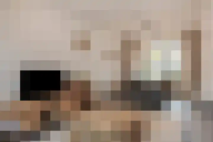 Lijsterlaan 34 Beek en Donk foto 2