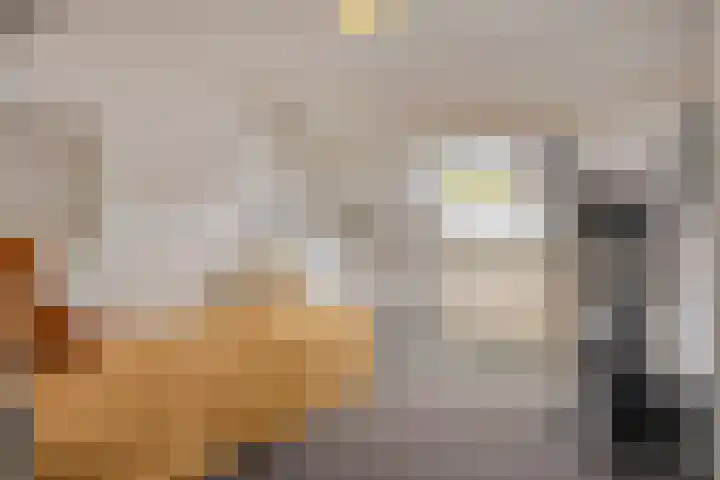 Lijsterlaan 34 Beek en Donk thumbnail 23