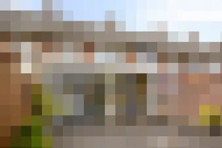 Lijsterlaan 34 Beek en Donk thumbnail 25