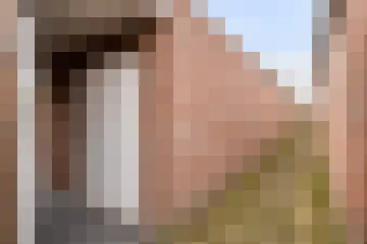 Lijsterlaan 34 Beek en Donk thumbnail 27
