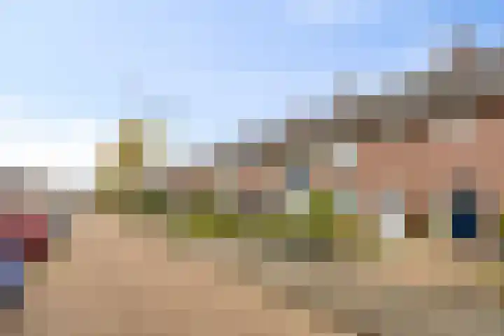 Lijsterlaan 34 Beek en Donk thumbnail 28