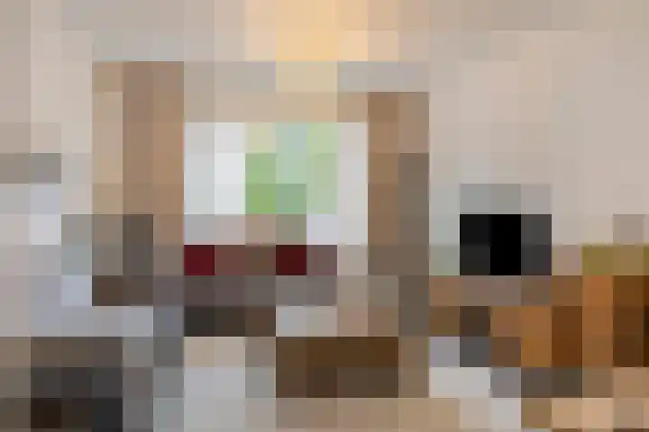 Lijsterlaan 34 Beek en Donk foto 3