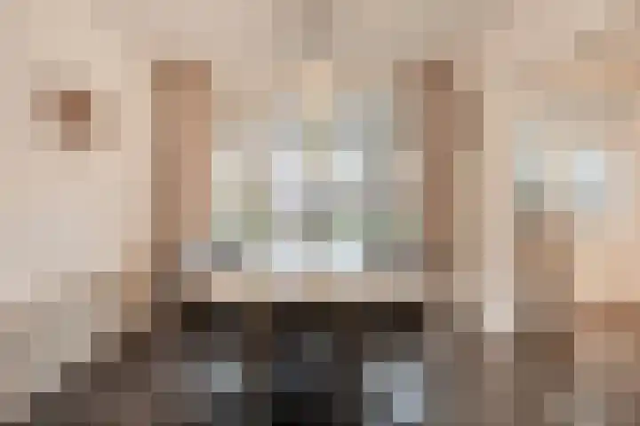 Lijsterlaan 34 Beek en Donk thumbnail 5