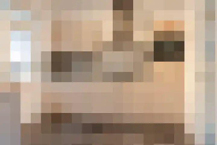 Lijsterlaan 34 Beek en Donk thumbnail 6