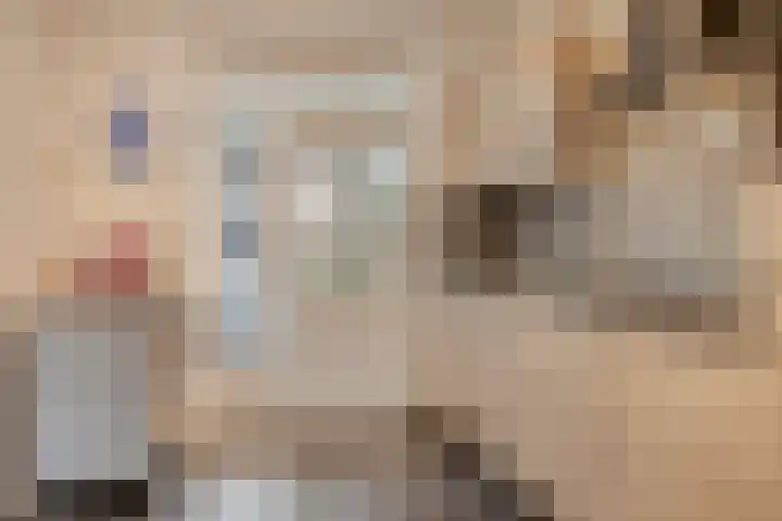 Lijsterlaan 34 Beek en Donk thumbnail 7