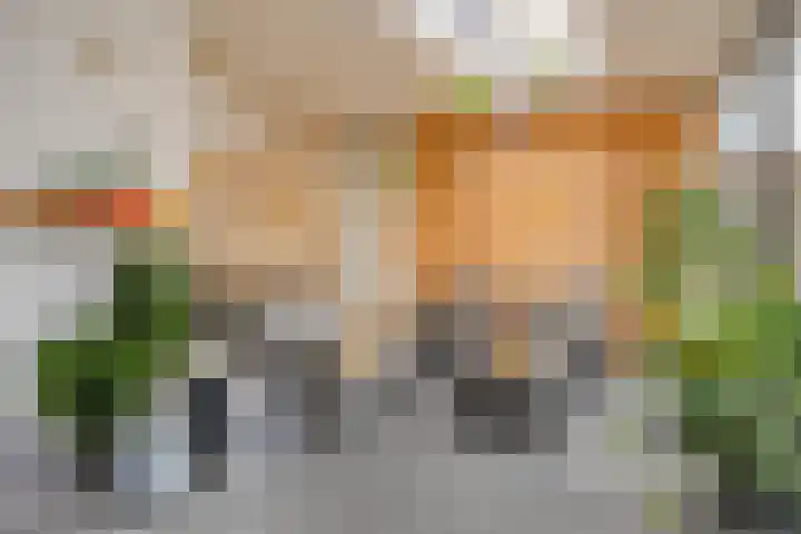 Lijsterlaan 34 Beek en Donk thumbnail 9