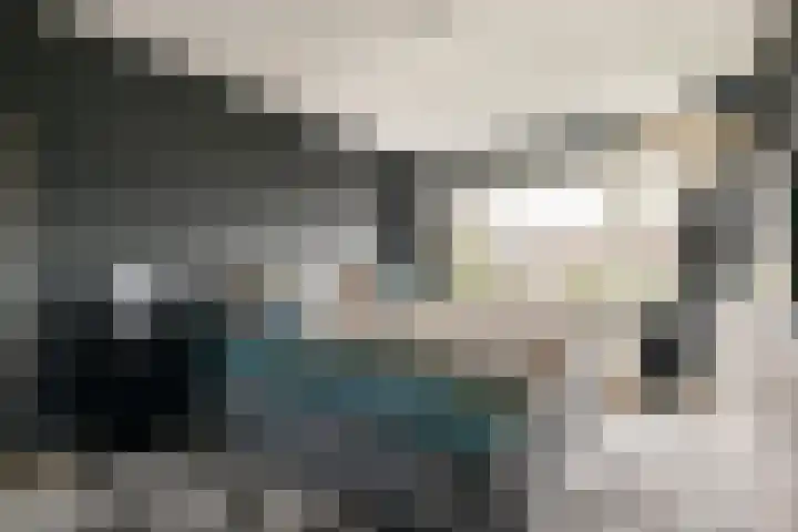 Lijsterlaan 35 Rotterdam thumbnail 11