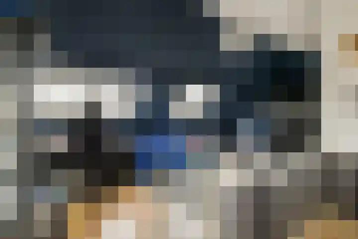 Lijsterlaan 35 Rotterdam thumbnail 17