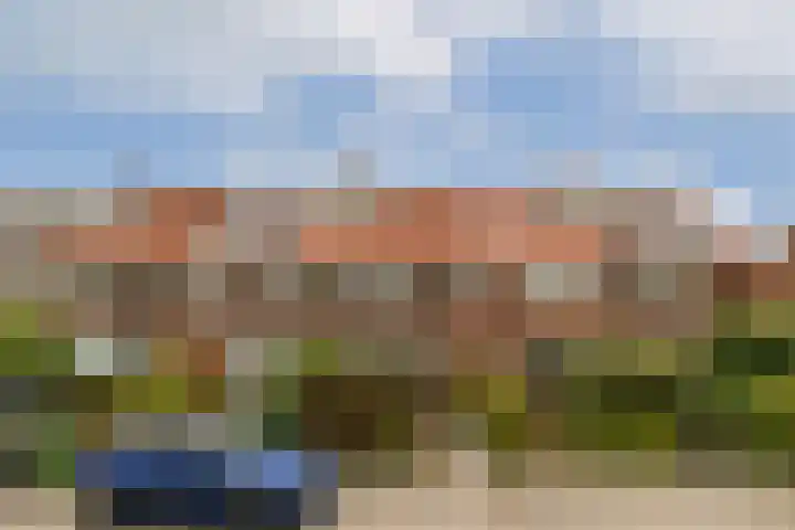 Lijsterlaan 35 Rotterdam thumbnail 20