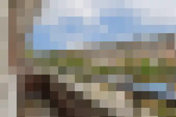 Lijsterlaan 35 Rotterdam thumbnail 21