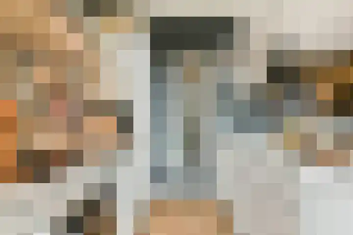 Lijsterlaan 35 Rotterdam thumbnail 8