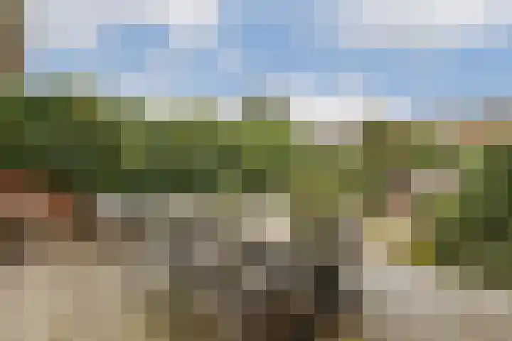 Lijsterlaan 35 Rotterdam thumbnail 9