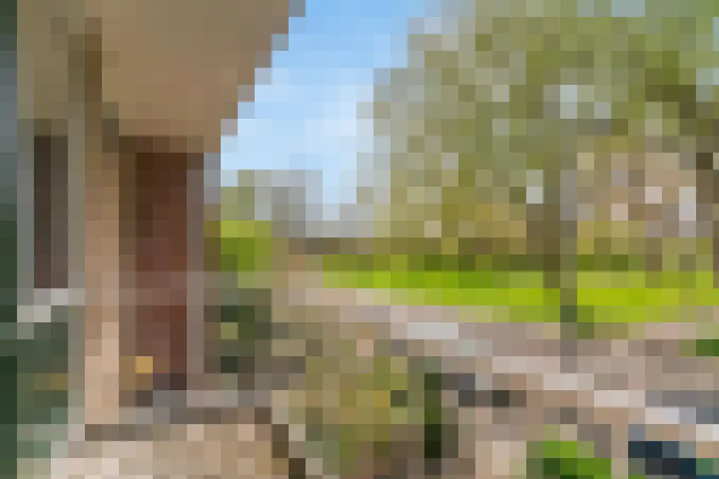 Lijsterlaan 36 Maassluis thumbnail 23