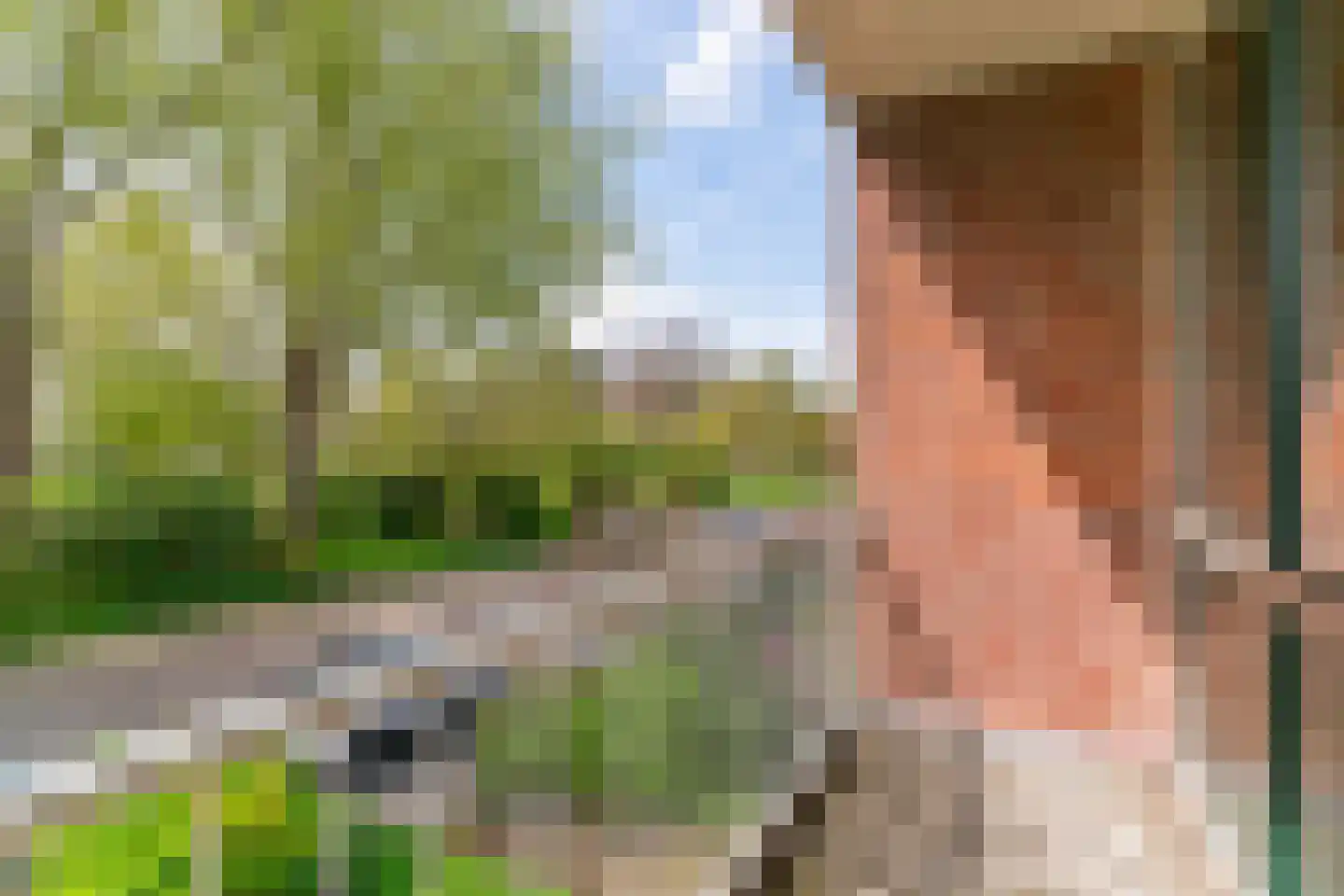 Lijsterlaan 36 Maassluis thumbnail 24