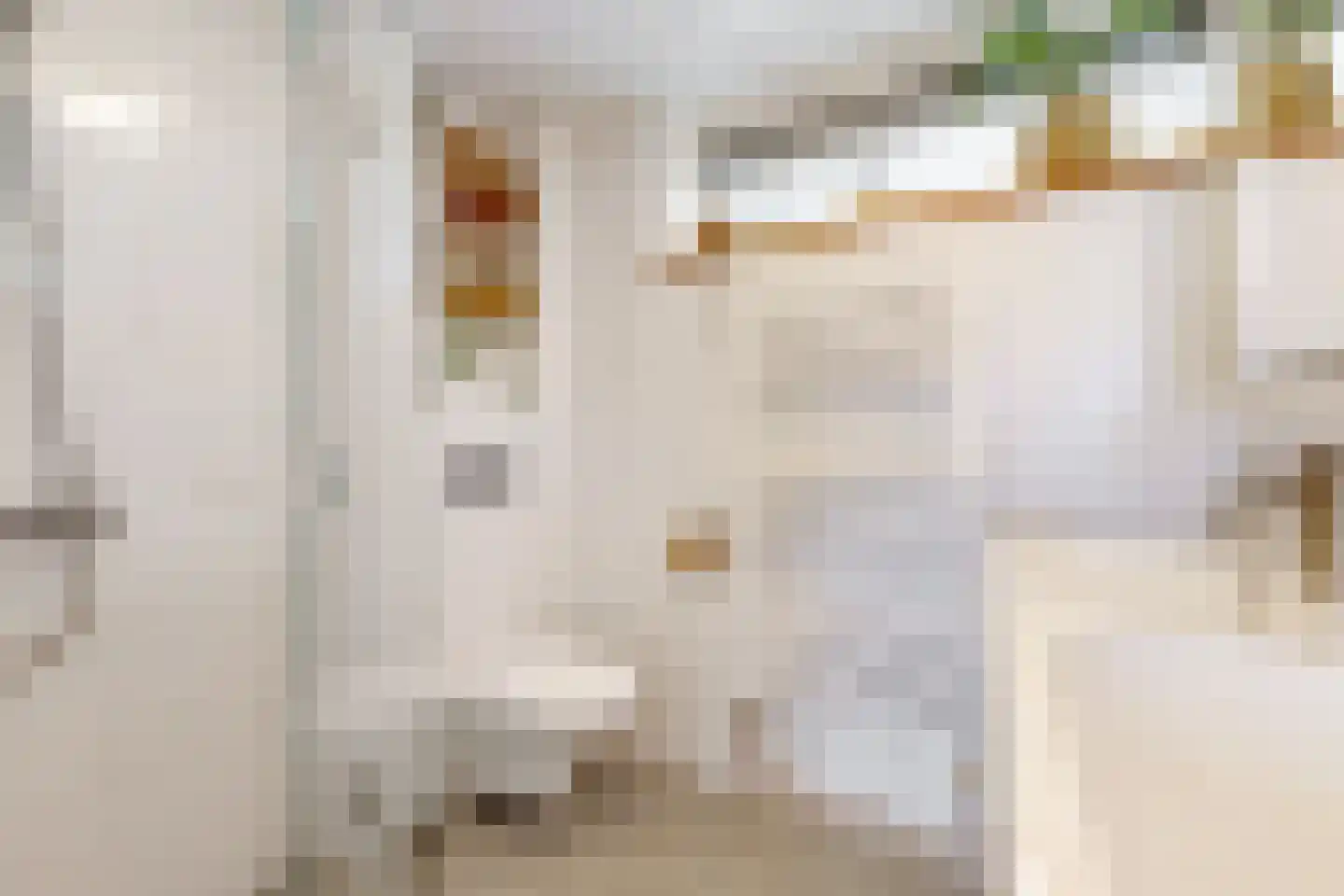 Lijsterlaan 36 Maassluis thumbnail 28