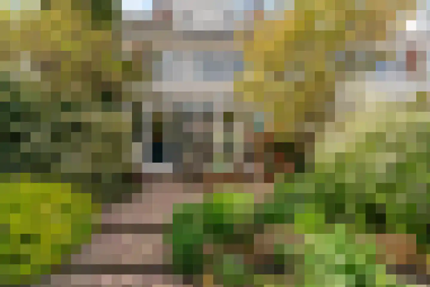 Lijsterlaan 36 Maassluis thumbnail 38