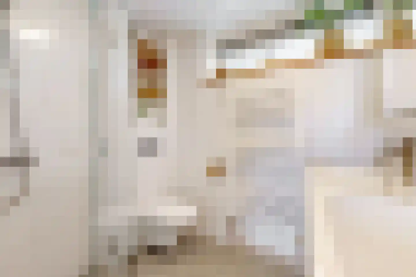 Lijsterlaan 36 Maassluis thumbnail 4