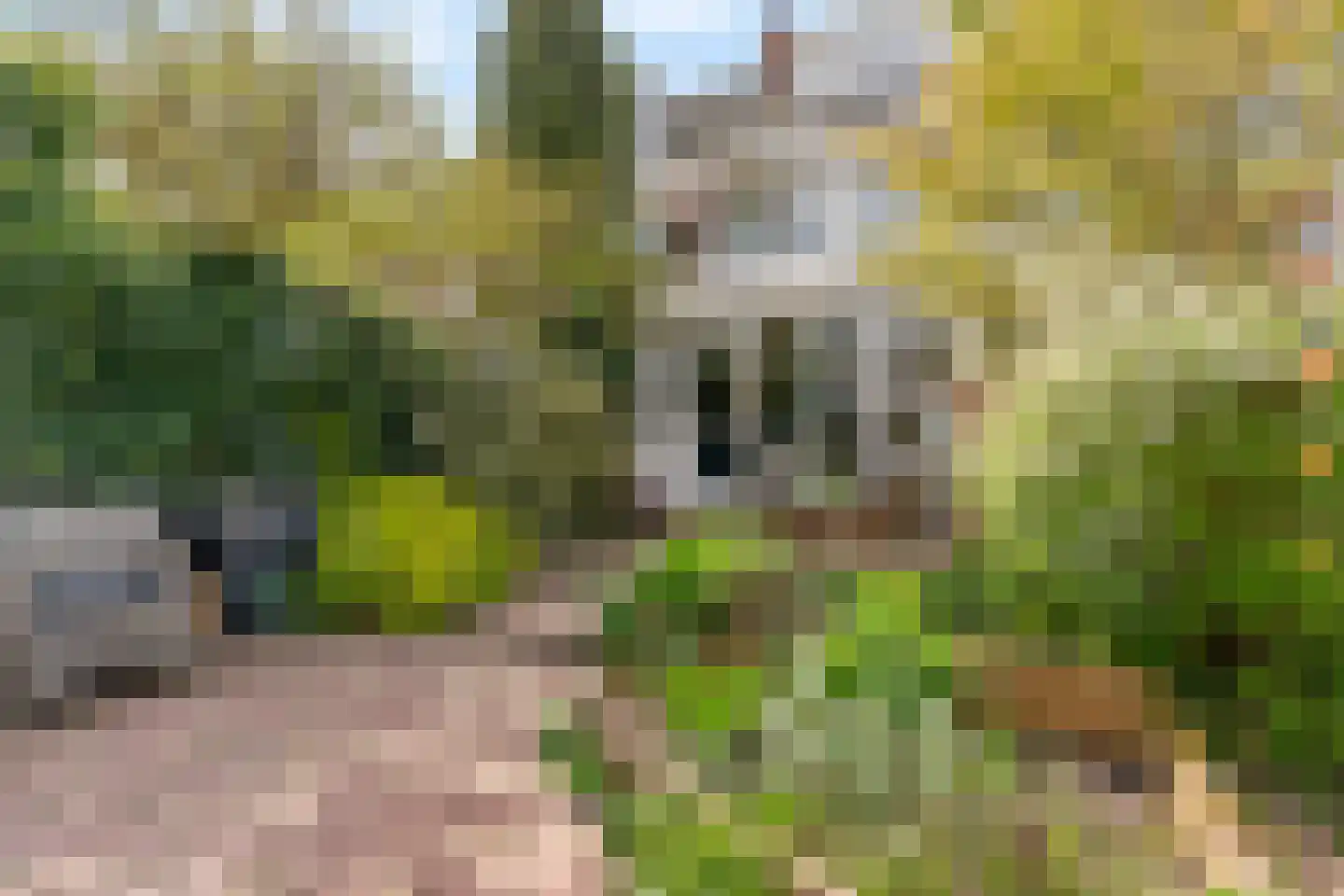 Lijsterlaan 36 Maassluis thumbnail 40